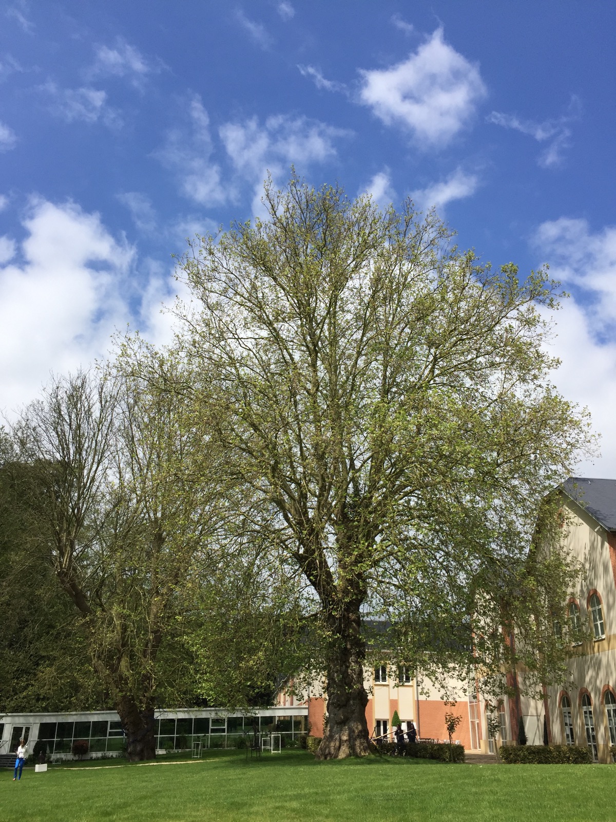 th_IMG_8133